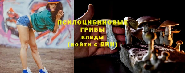 спиды Алексин