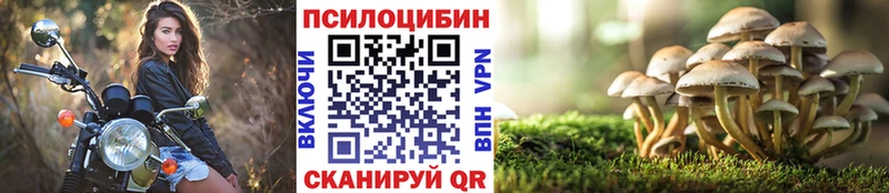 Псилоцибиновые грибы GOLDEN TEACHER Каргат