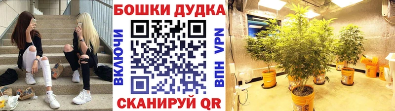 цена наркотик  Каргат  kraken маркетплейс  МАРИХУАНА VHQ 